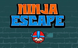 Image Ninja Escape