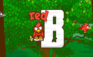 Image Red Bird