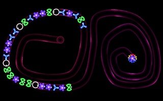 Image TD Neon Shoot - Zuma